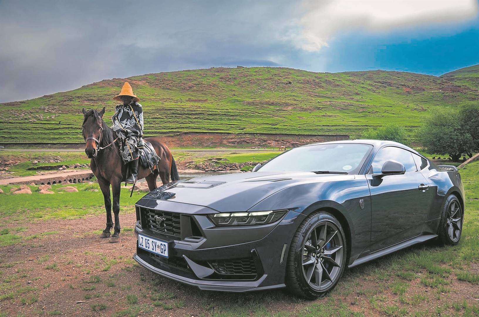 Omgekrapte Mustang laat die ponies galop