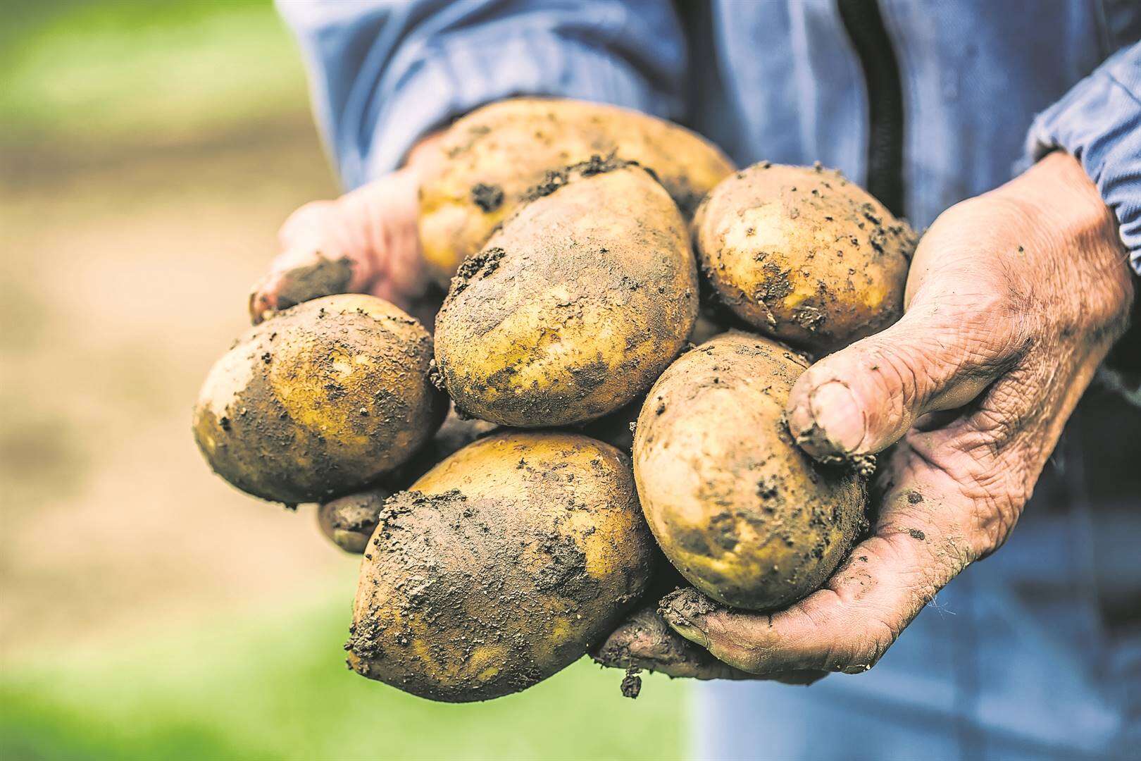 Varsproduktemarkte belangrike afsetpunt vir dié produsente