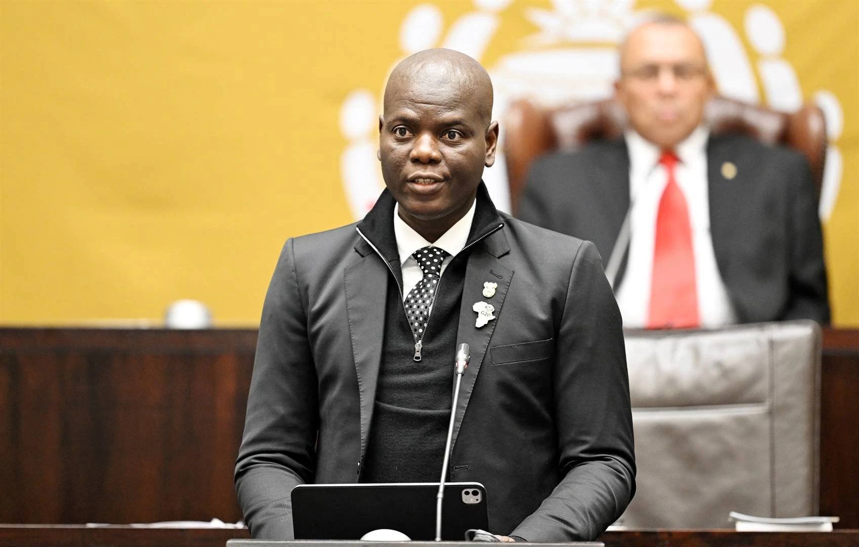 SA se verbintenis tot internasionale reg ondermyn g’n ander lande – Lamola