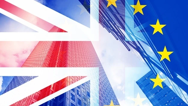 WATCH | EU to Britain: fair trade deal worth every effort