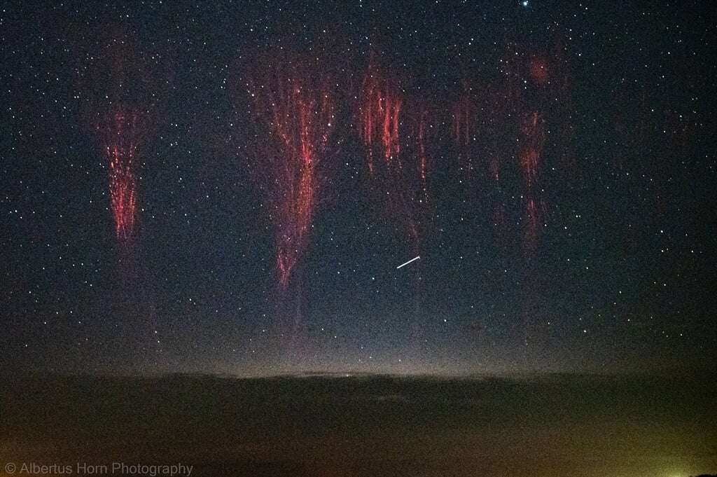 SEE | Hunting sprites: Photographer captures stunning but fleeting 'nature's fireworks'