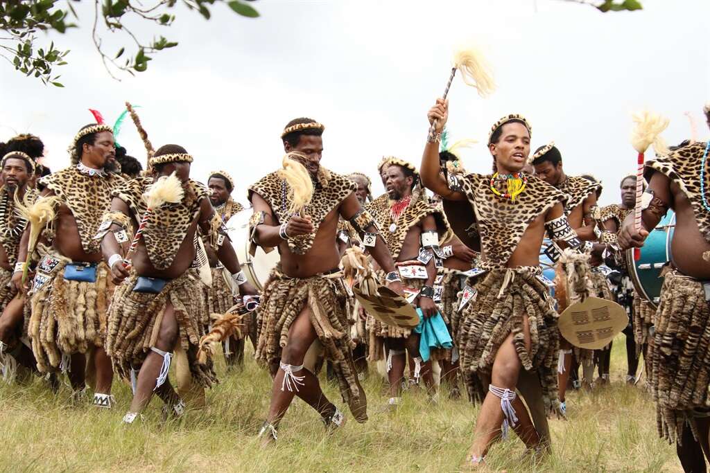 'Heritage furs' save leopards and preserve 'king' status in Zulu households