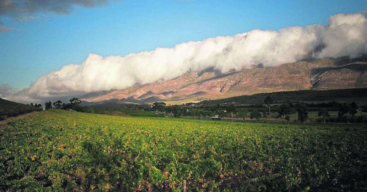 Camino | Eerste Vino Camino in Karoo aangebied