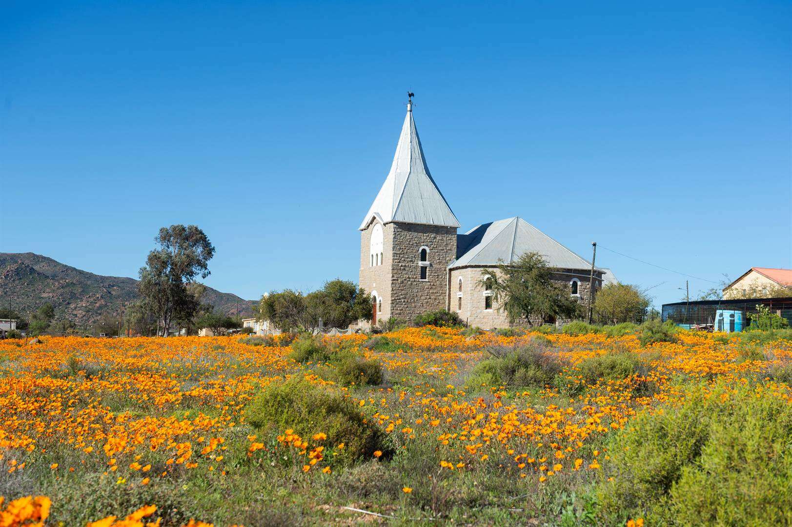 Bewaring blom in die Noord-Kaap na dekade se swoeg