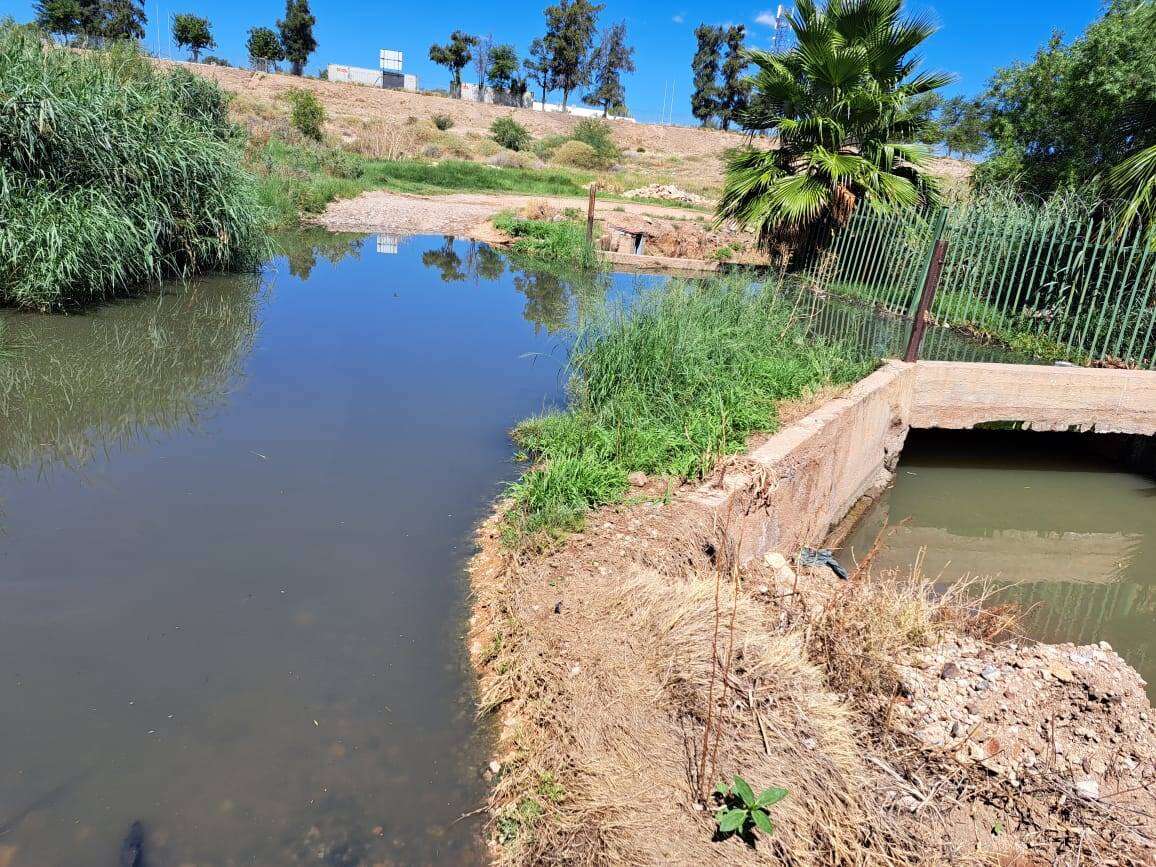 Verslag oor rioolprobleme in Upington by munisipaliteit ingedien