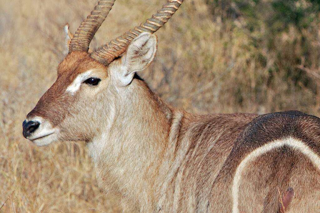 Soetdoring-reservaat by Bloem steeds vir opknapping gesluit