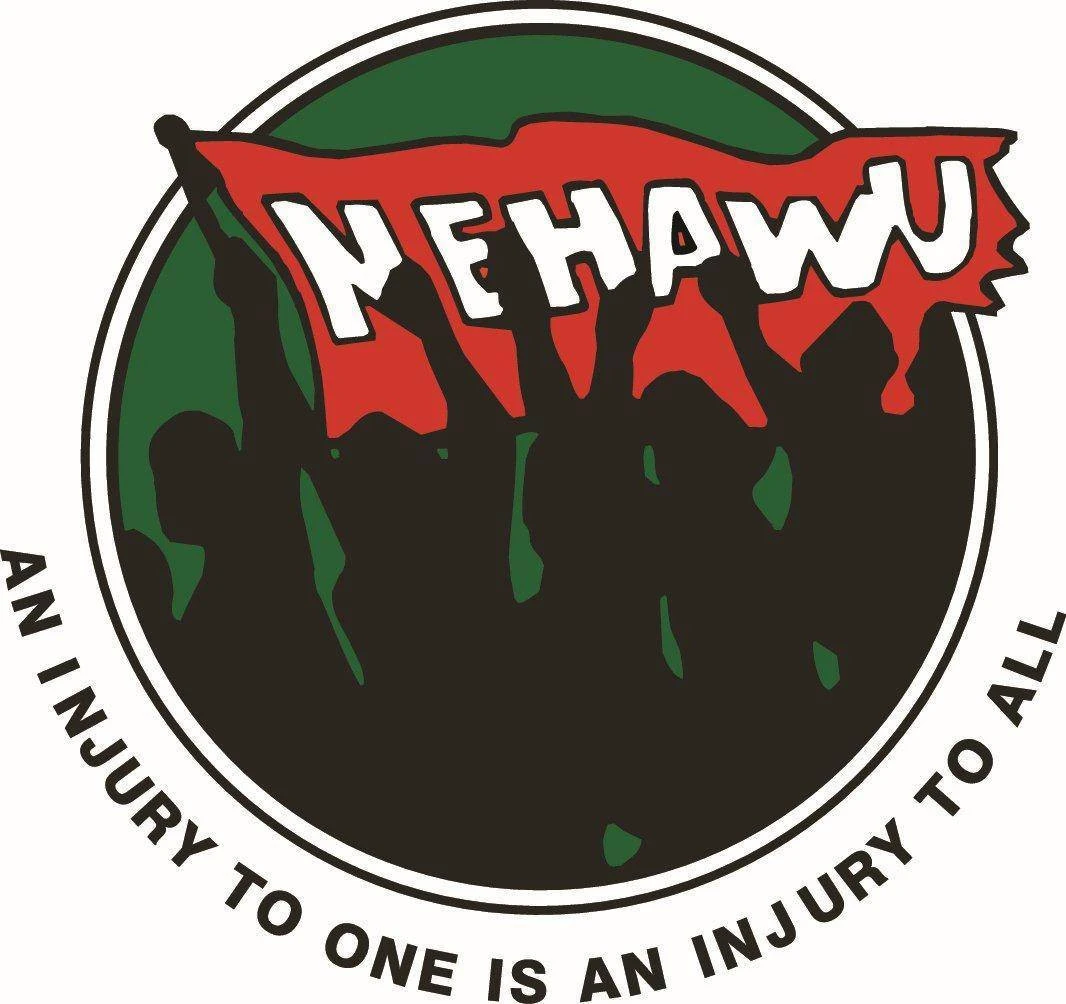 Financial misconduct: Defiant HPCSA boss challenges disciplinary process