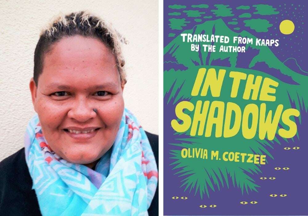 REVIEW | Lives are shaken up by kidnapping in Olivia M. Coetzee's novel In the Shadows