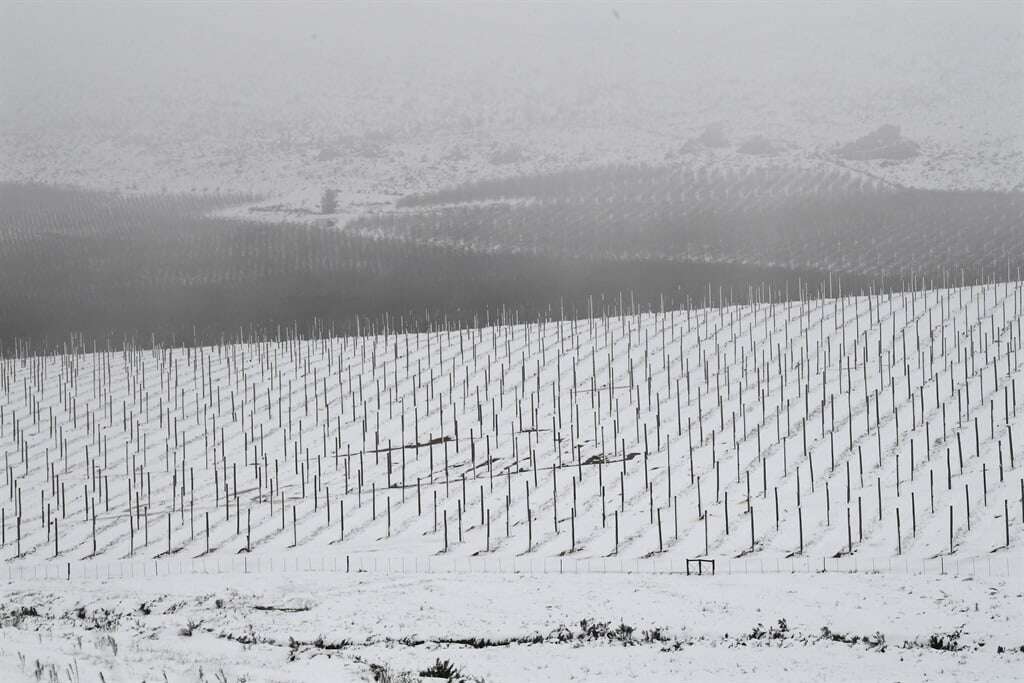 Thursday's weather: Snow, high winds forecast for Eastern Cape, extreme heat for Limpopo