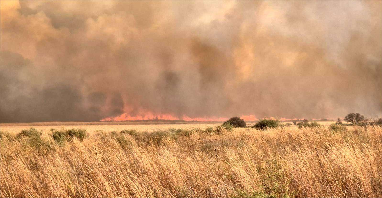 Werker sterf, talle beseer in brande wat 12 000 ha in Noordwes verwoes