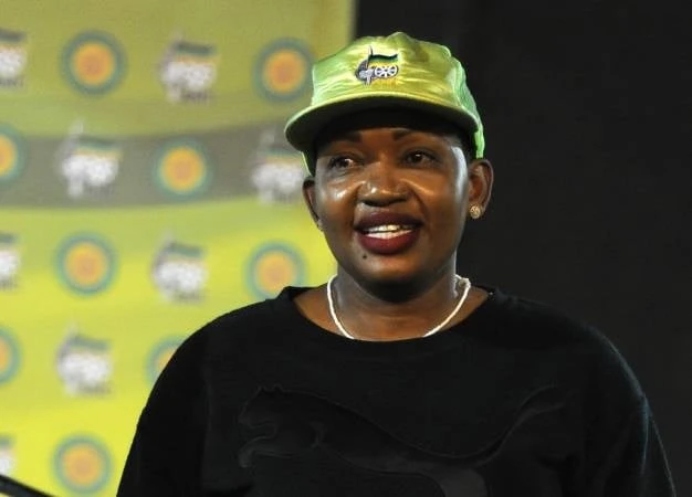 Task team sets new ANCYL congress deadline as 'crisis committee' faction threatens court action