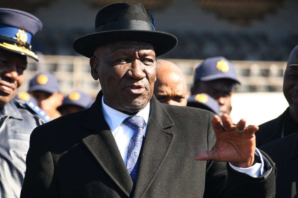 Cele's failure to appoint Hawks judge 'severely affected' oversight body