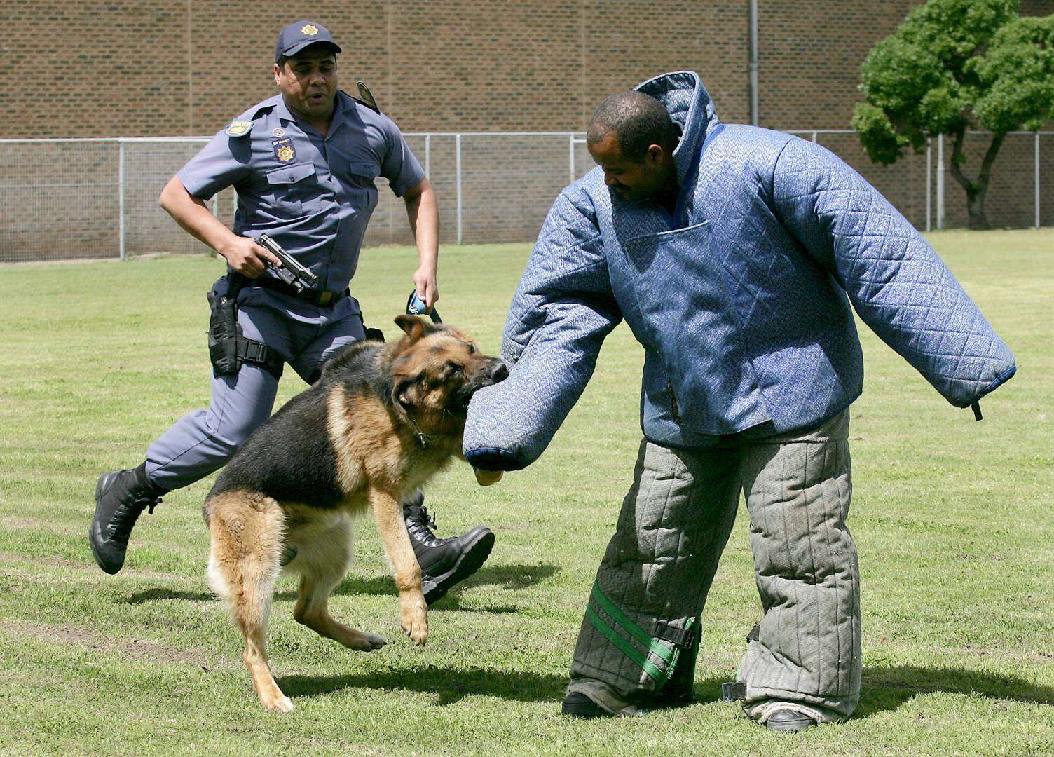 Kommer oor te min polisiehonde in Wes-Kaap