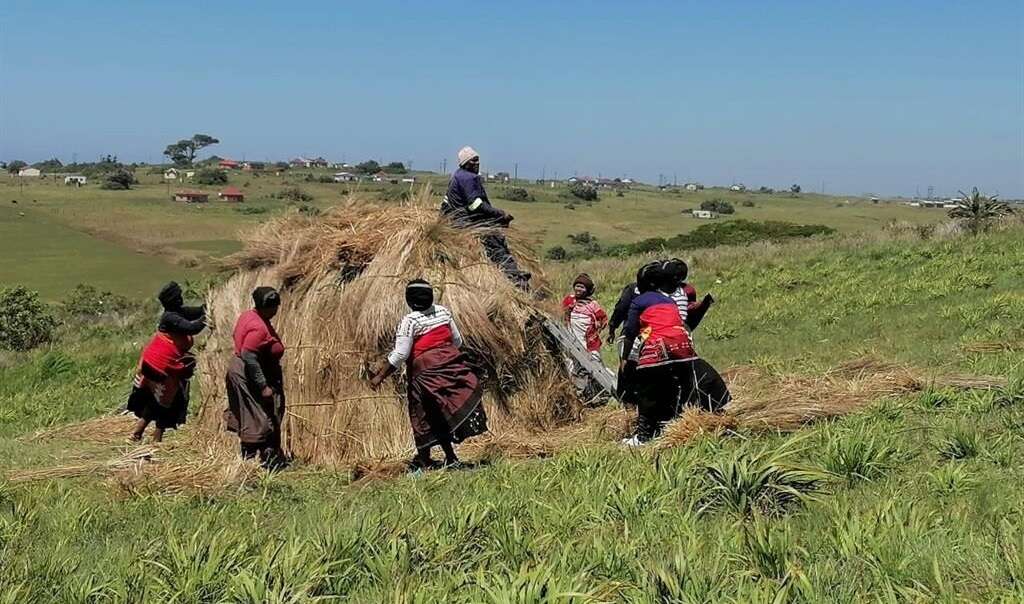 'Cannot be giving a blow-by-blow account': Eastern Cape govt cuts communication on initiation deaths