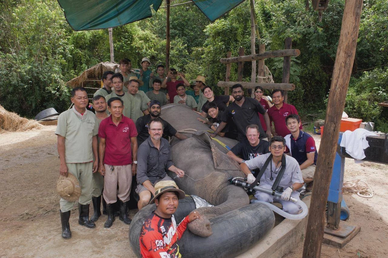 SA prof se olifant-operasie ’n historiese oomblik in Kambodja