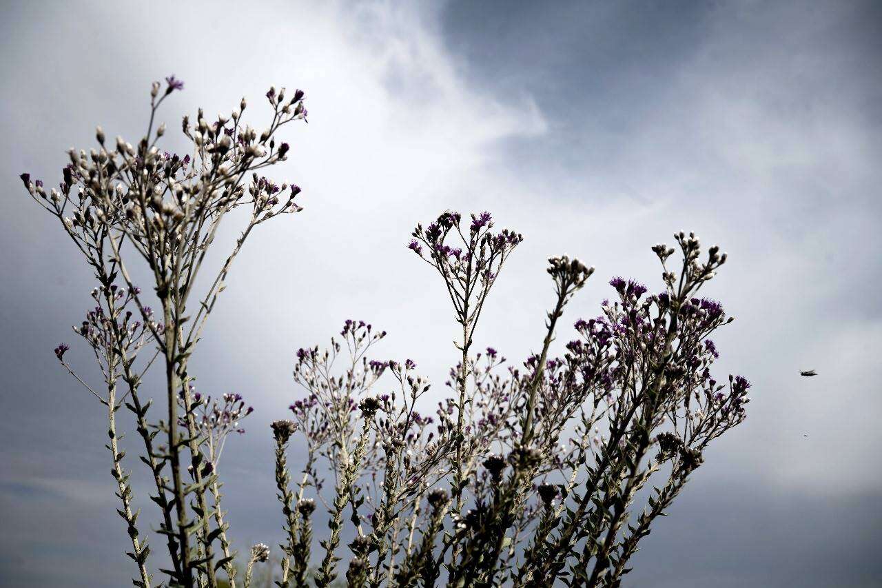 Die weer in jou streek Sondag