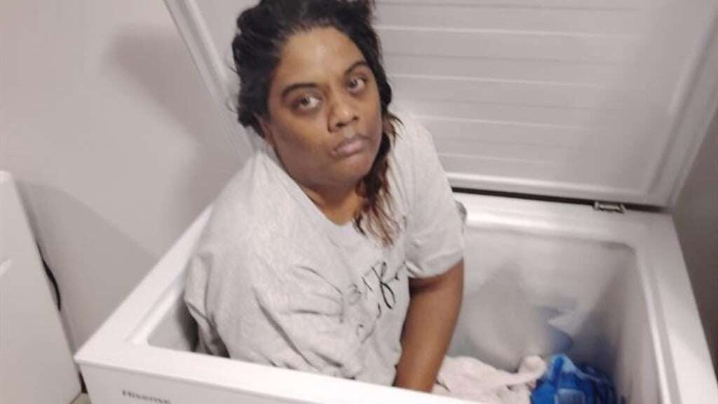 Gauteng woman who hid inside freezer to evade arrest sent to jail for fraud and theft