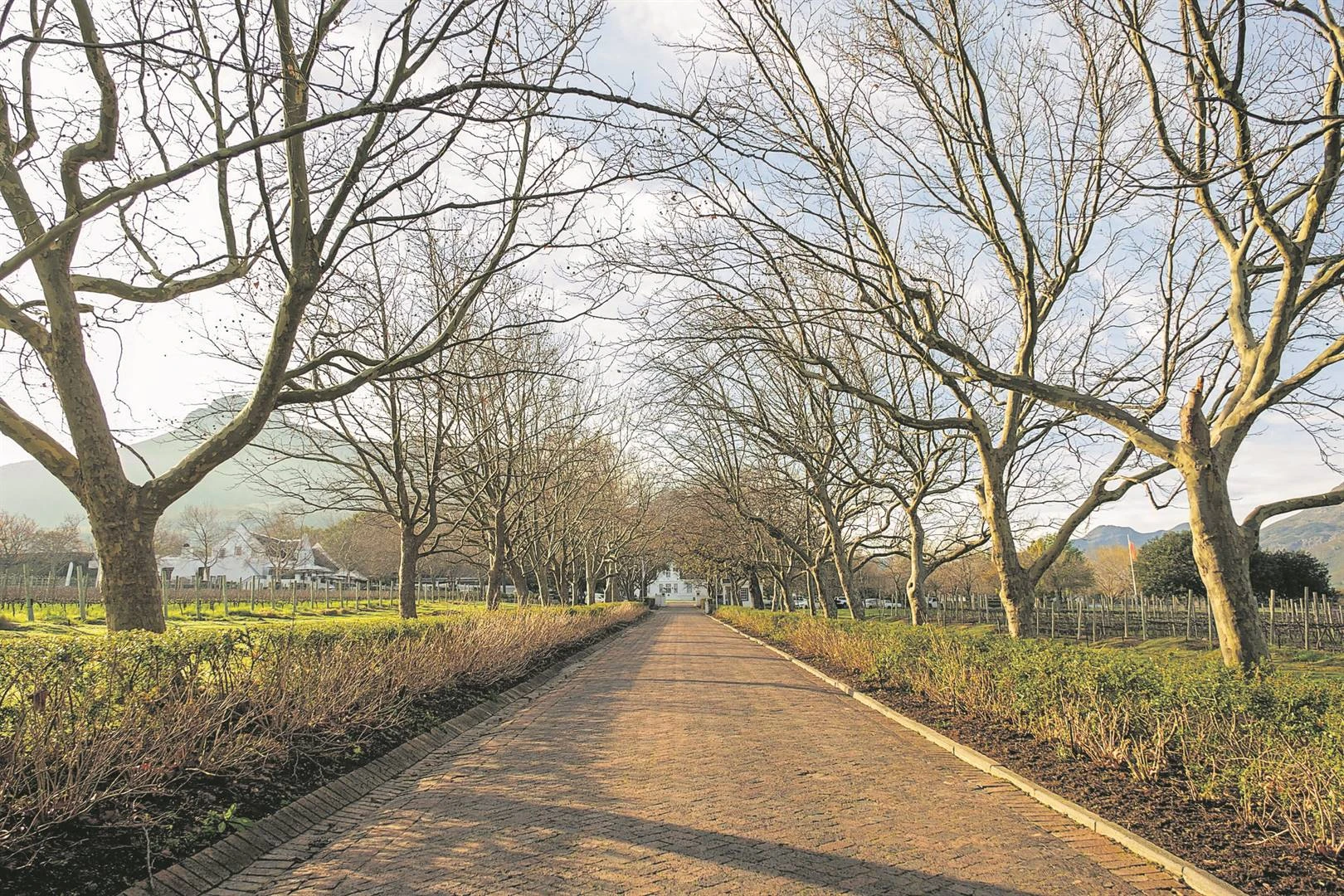 VAT DIE PAD | Dis altyd lekker in die Eikestad