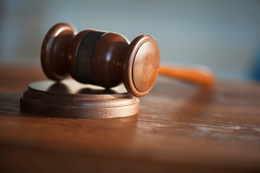 Suspended Eastern Cape ANC branch chair gets 10 years for raping party member