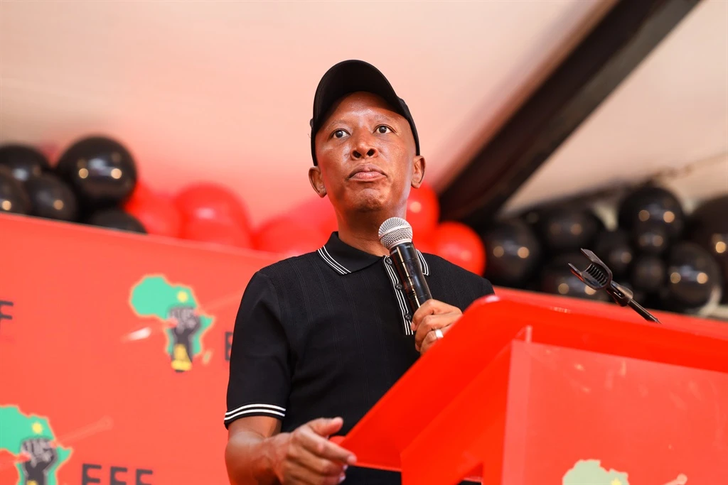 BTW-beslissing: ‘Parlement se gesag herstel’ – Malema