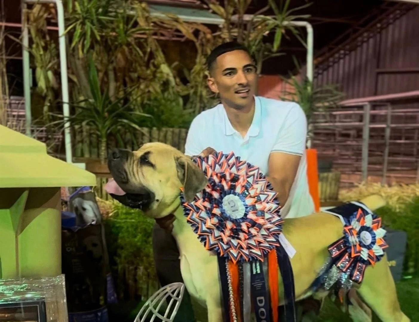 Jong boerboel van Bonteheuwel is wêreldkampioen