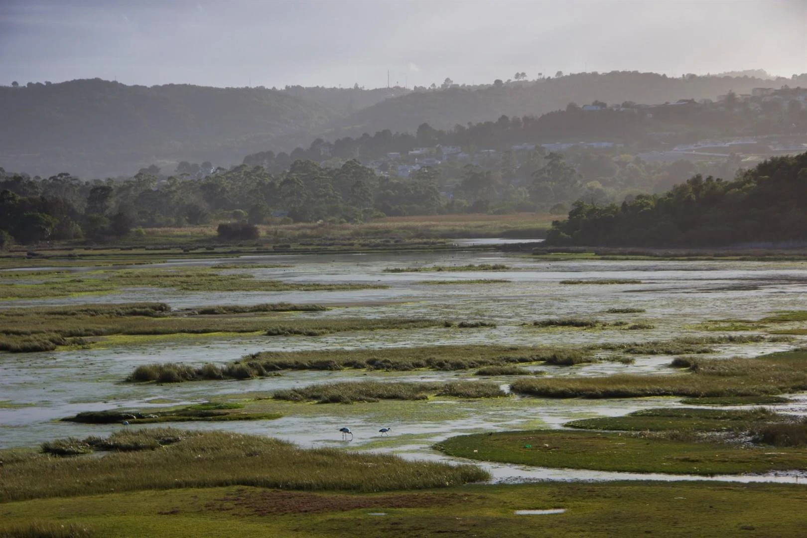 Sanitasie: Knysna oorweeg nuwe tegnologie vir informele nedersettings