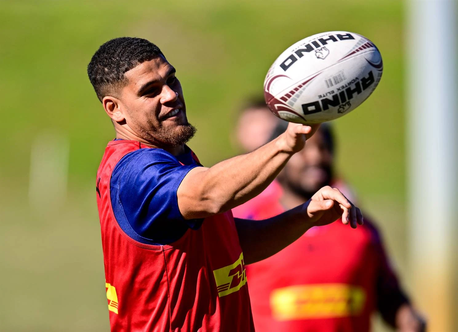 Blitsbok Davids lei WP teen Bulle