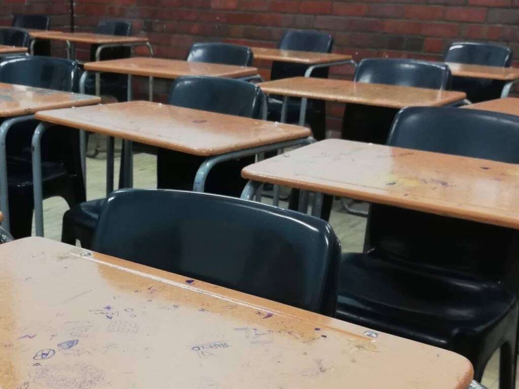 Eastern Cape education department to probe disappearance of food parcel for needy pupil