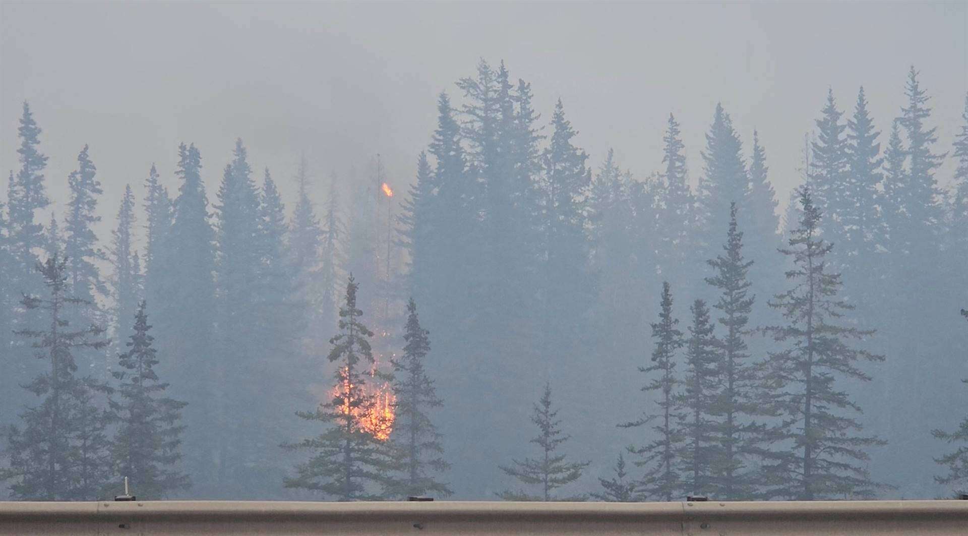 Helfte van Kanadese toeristedorp Jasper deur wegholbrand vernietig