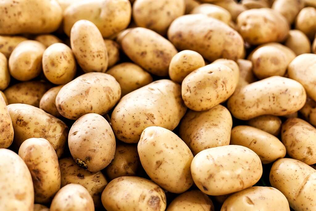 Potato prices spike 15% in a week after black frost hits Limpopo crop