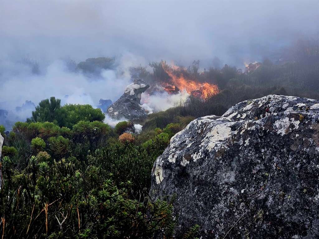 119 fires recorded in Table Mountain National Park in just 12 months