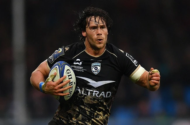 Springboks Reinach, Serfontein star for Montpellier in French Top 14