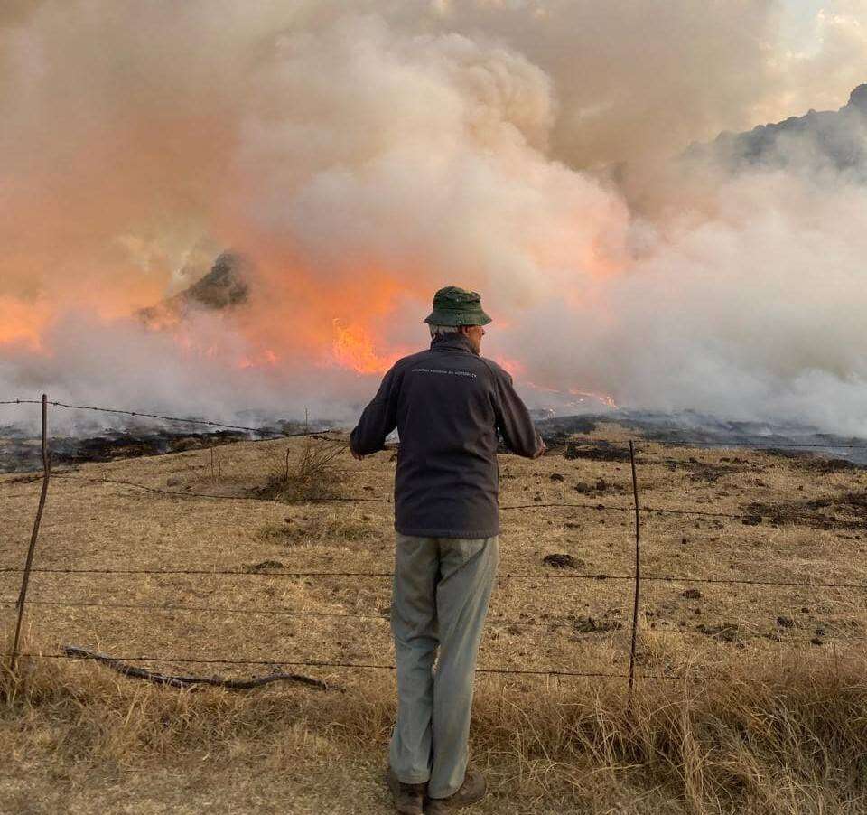 Brand in Moolmanshoek-omgewing ‘grootliks onder beheer’