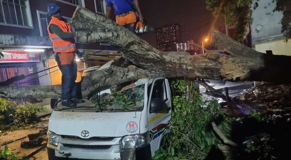 Flooded roads and fallen trees: Disruptive rain lashes eThekwini