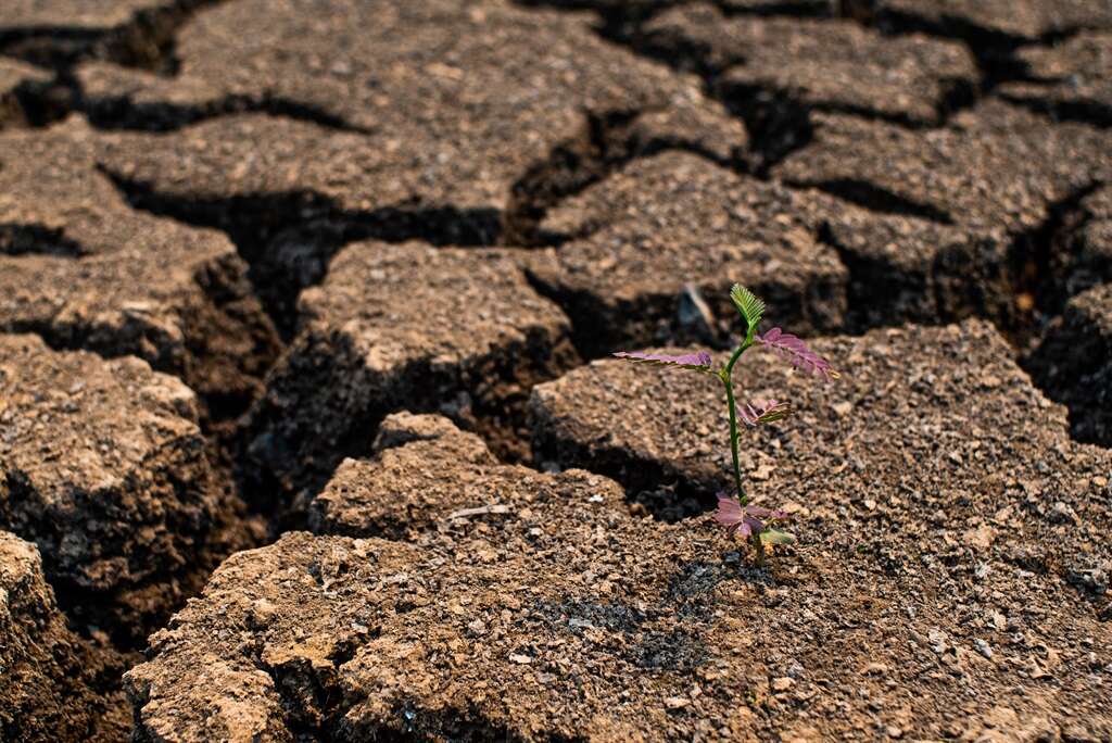 Africa's leap into space has climate benefits