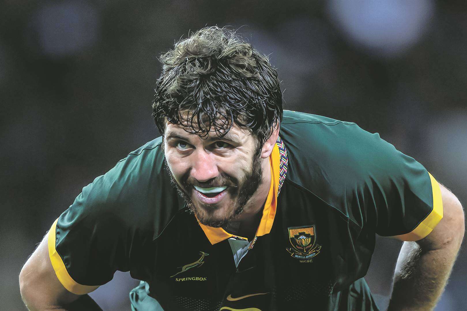 Ruan dra Bokke se vyftrui teen Skotte