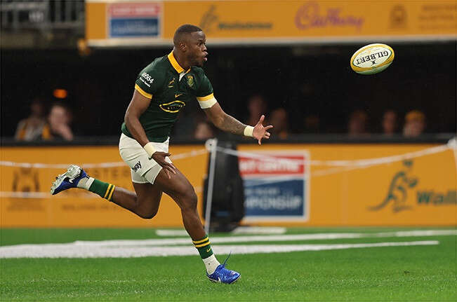 Springbok player ratings | Fassi, PSDT, 'Eskom' shine in the wet as Boks leave Australia smiling