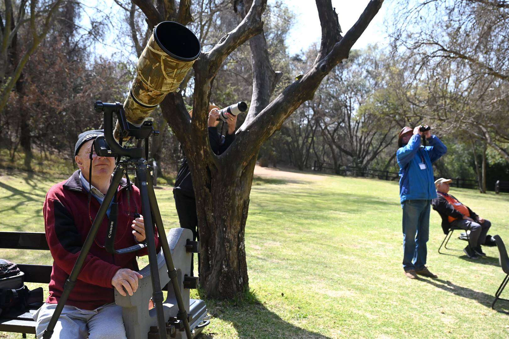 Jong arend sprei vlerke . . . en almal wag vir eerste vlug