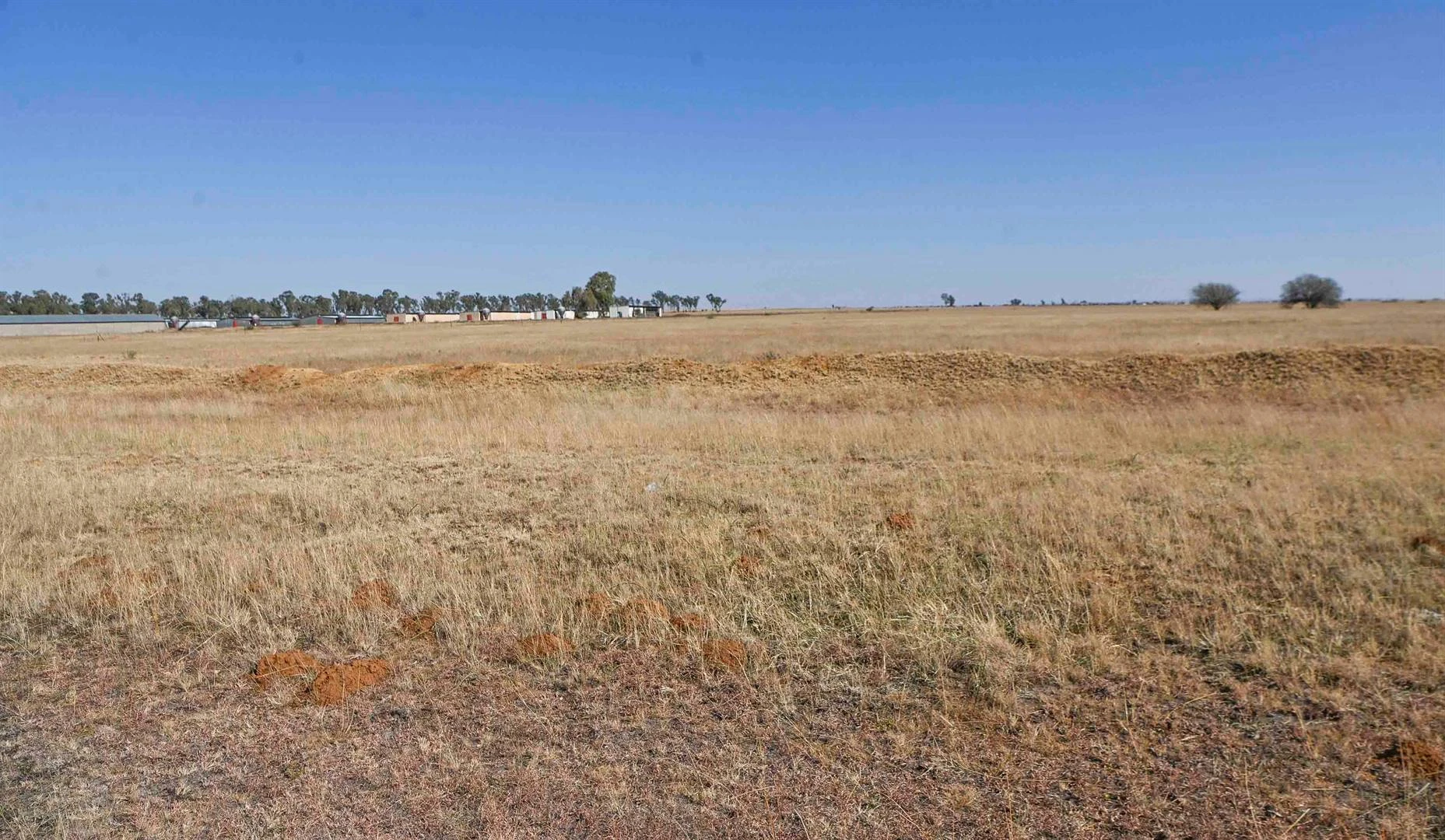 Grond by Dewetsdorp-pad bedoel vir ontwikkeling, sê Mangaung oor R33,6 m.