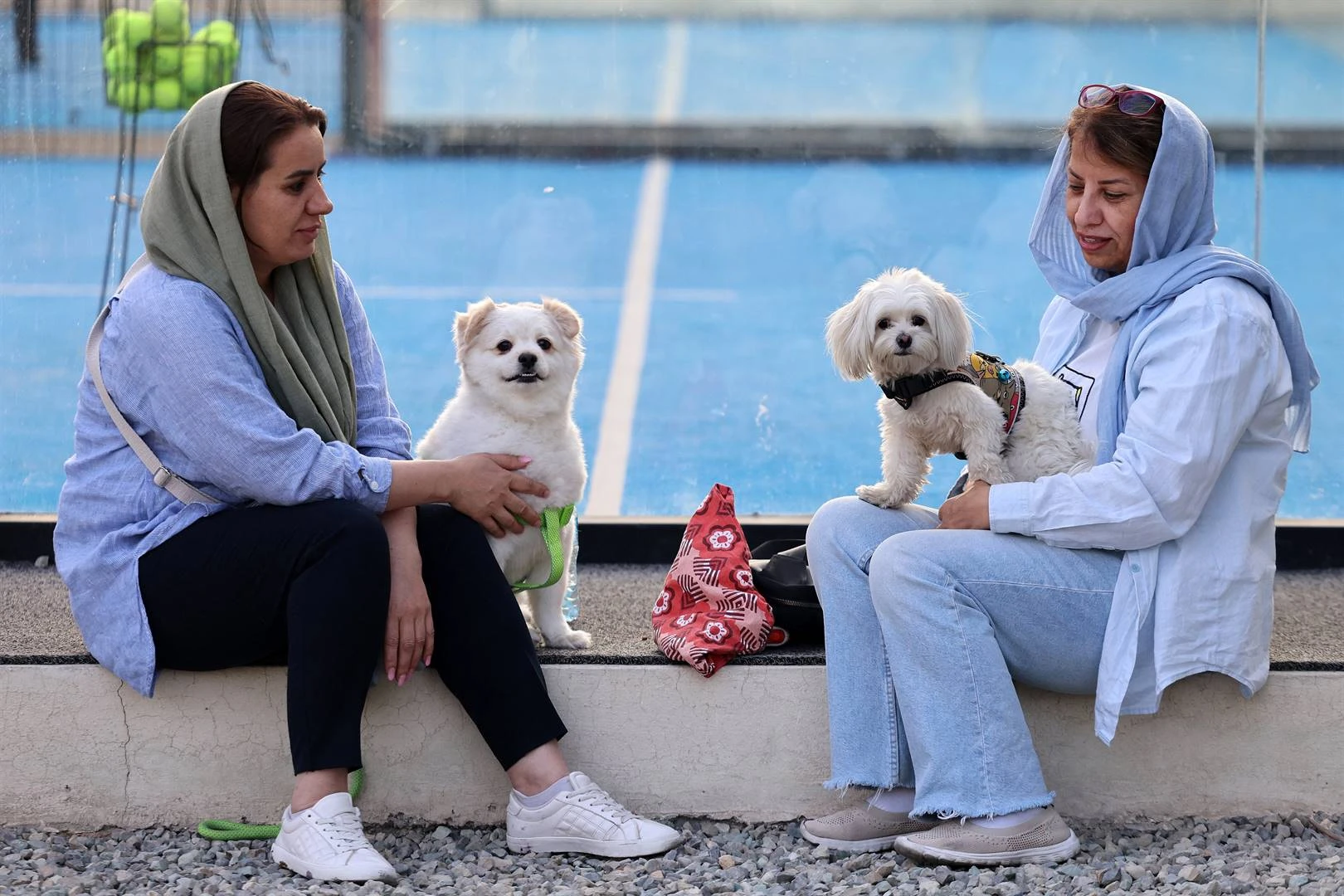 Nog meer stede in Iran waar mense nie met hul honde mag stap