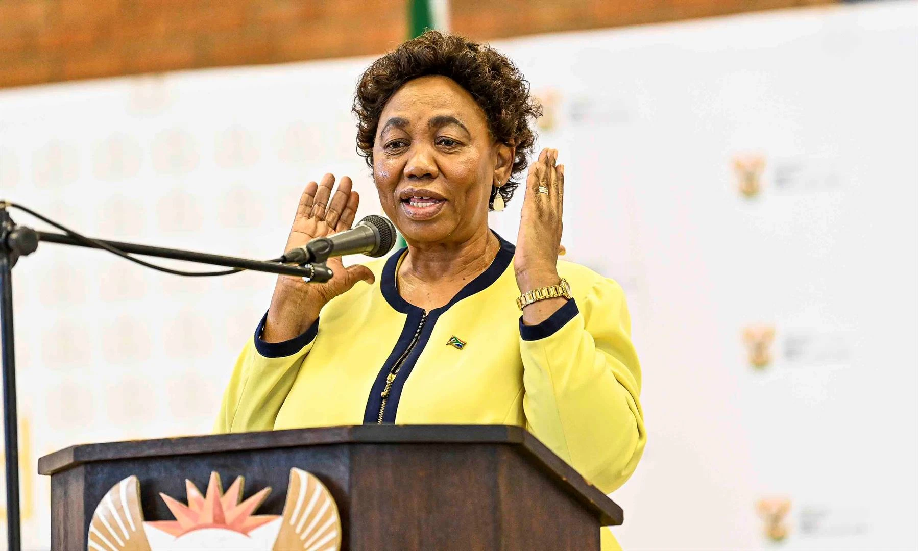 SANW se ‘Reis na Grootsheid’ verdwaal in parlementsgange