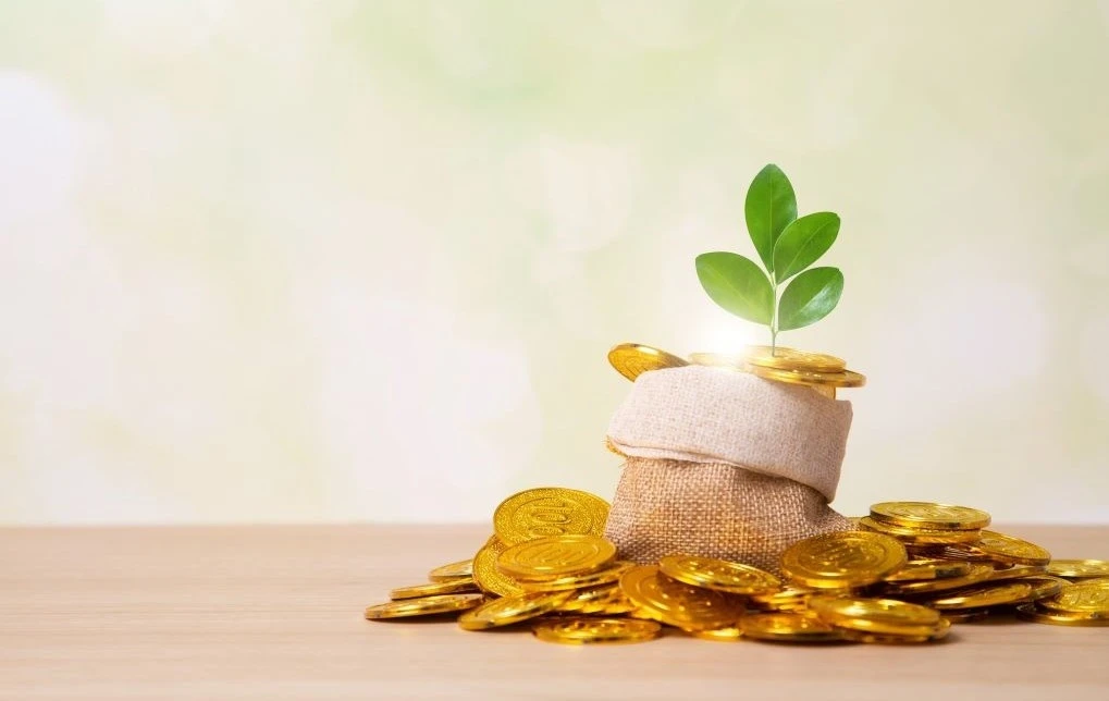  OPINION | Can money buy happiness? 
