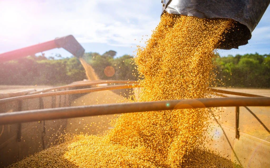 Sifiso Ntombela | How farmers can use levies to help secure food supplies