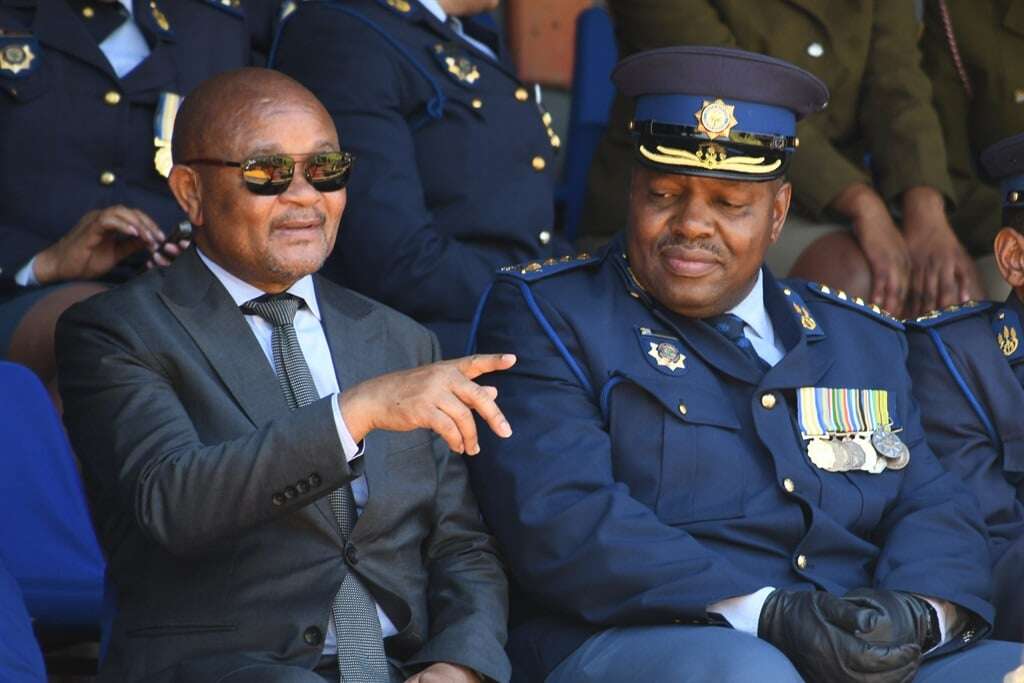 Mchunu demands answers on SAPS border control, intelligence and political killings task team