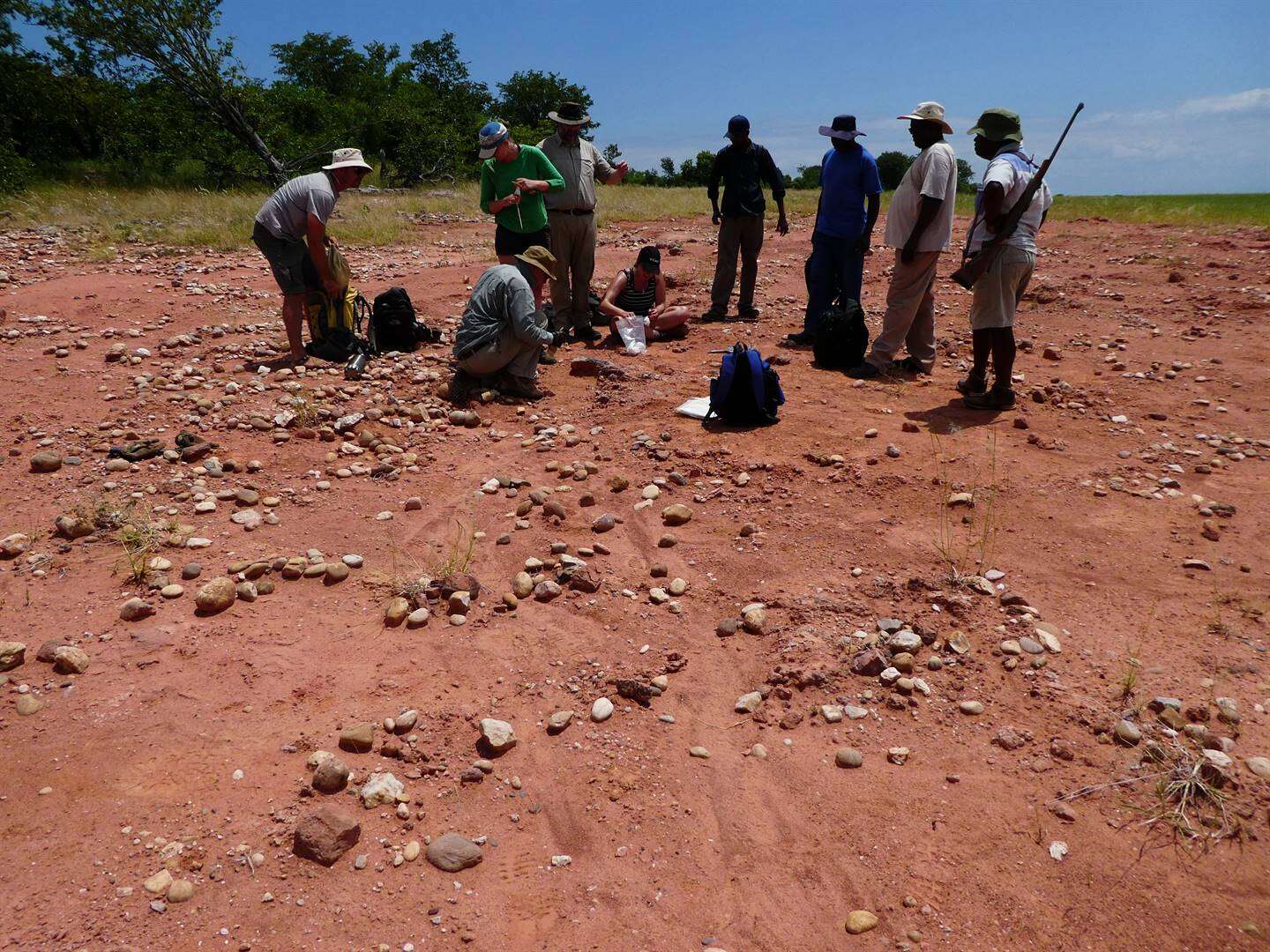 Nuwe dinosourus-spesie in Zimbabwe ontdek