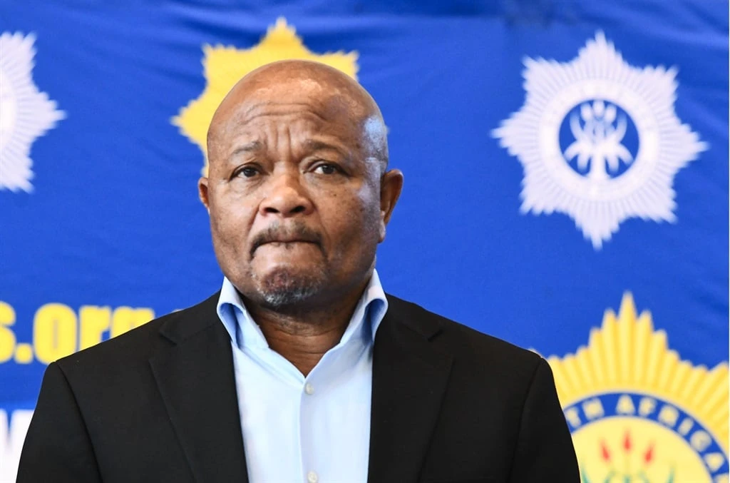 Kommentaar: Ramaphosa se eerste Mchunu-skuif is op koers