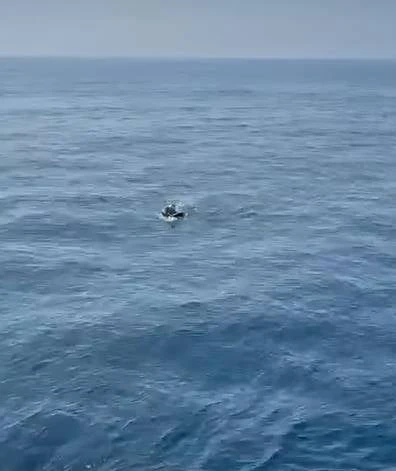 Man gered wat met paddavoete en binneband van Marokko na Spanje probeer swem