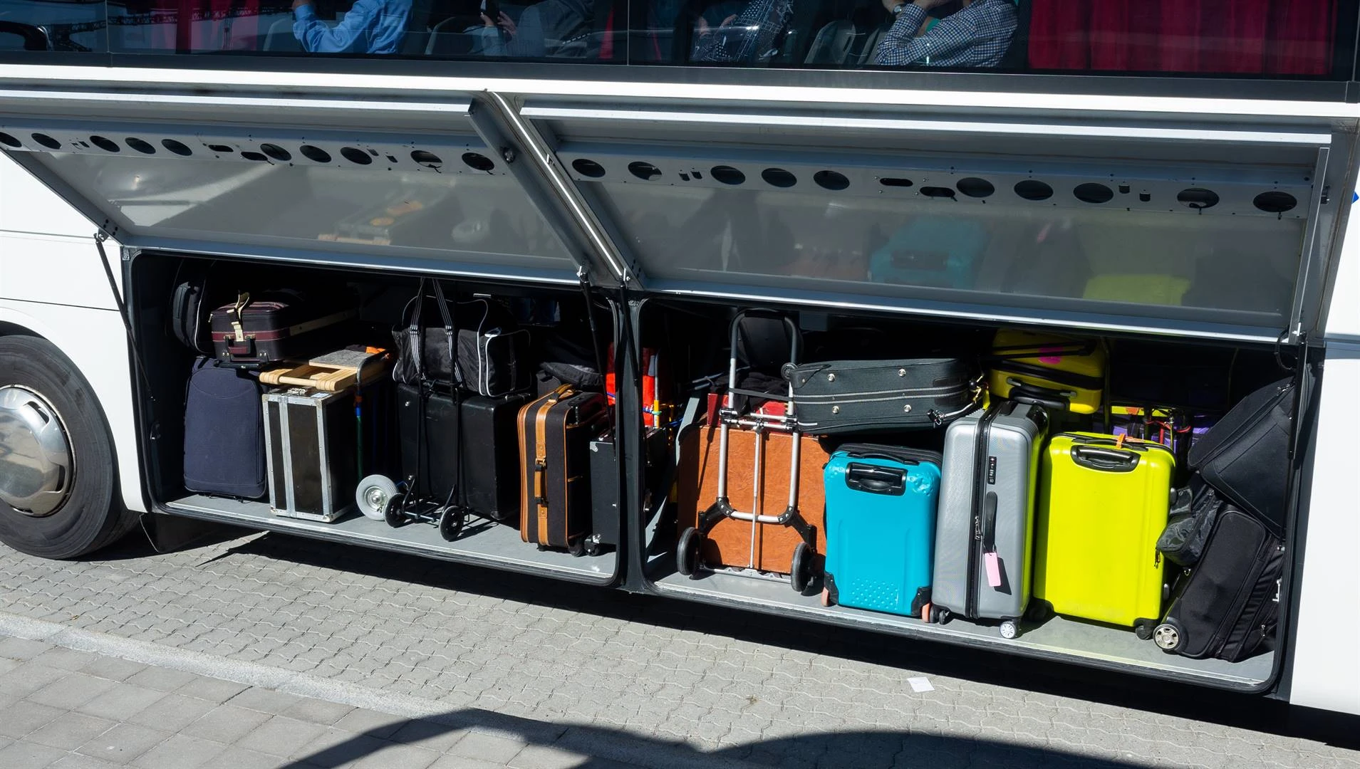 Beweging in tas op Nieu-Seelandse bus is toe kind (2)