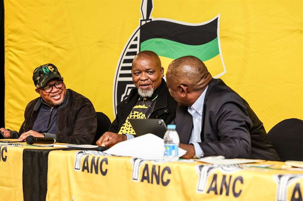 Taking stock: ANC NEC to formulate plan to regain lost ground