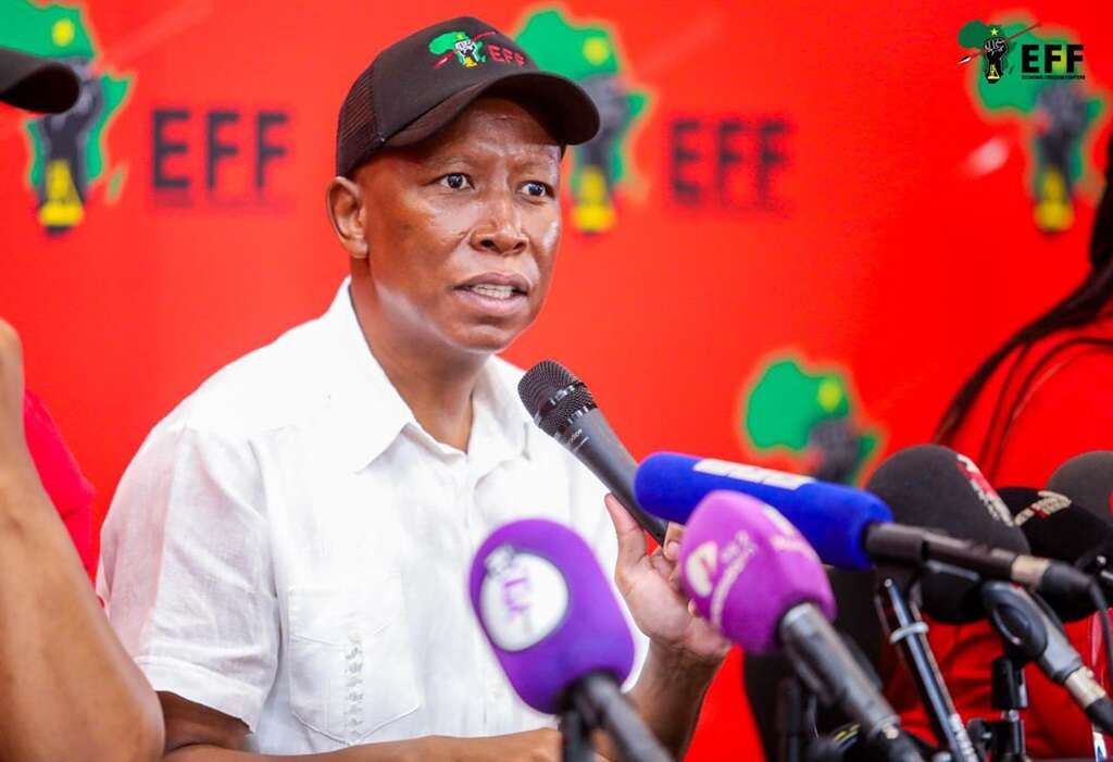 'We are hurt, but we are not crybabies,' says Malema about EFF's tough year